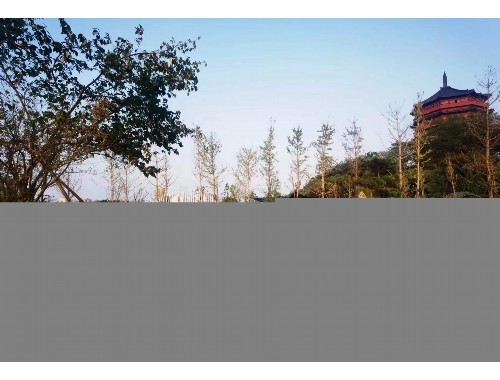 园林绿化工程技术人员职称